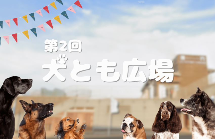 犬とも広場